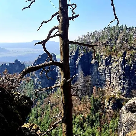 Arizona Bad Schandau