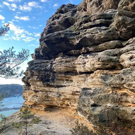 Arizona